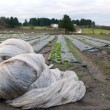 Husk! Boklansering om den norske ledelsesmodellen