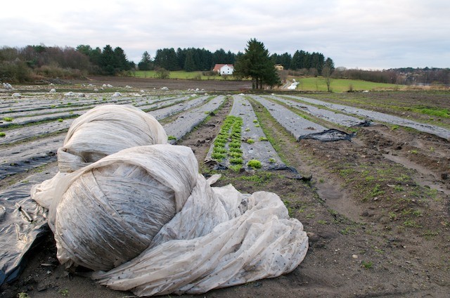 HVALFANGSTMUSEETS SPENNENDE ARRANGEMENTSPROGRAM 2013-14