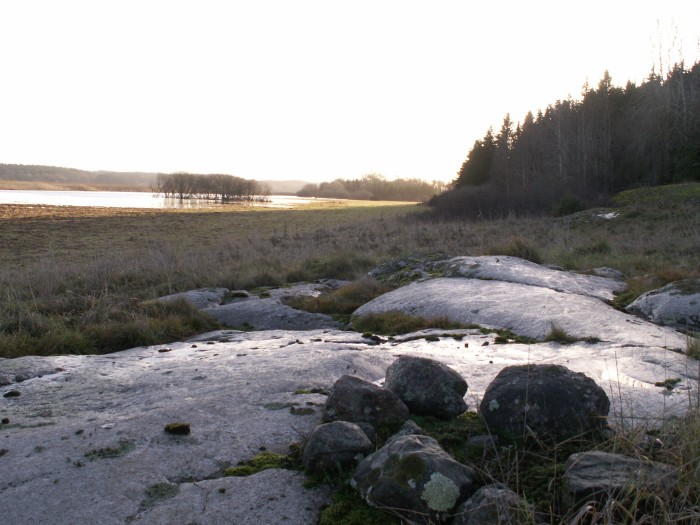 Först i Sverige ? Garnsviken blir limniskt naturreservat