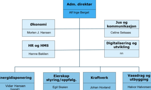 Ny ledelse i E-CO Energi